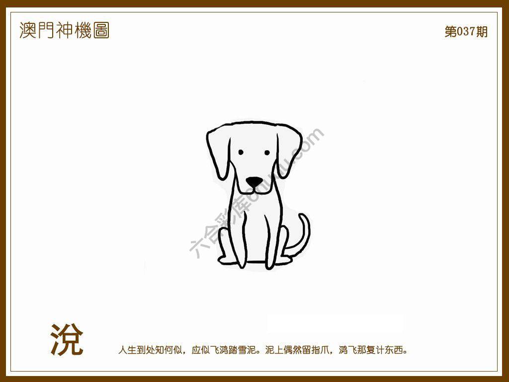 澳门神机图