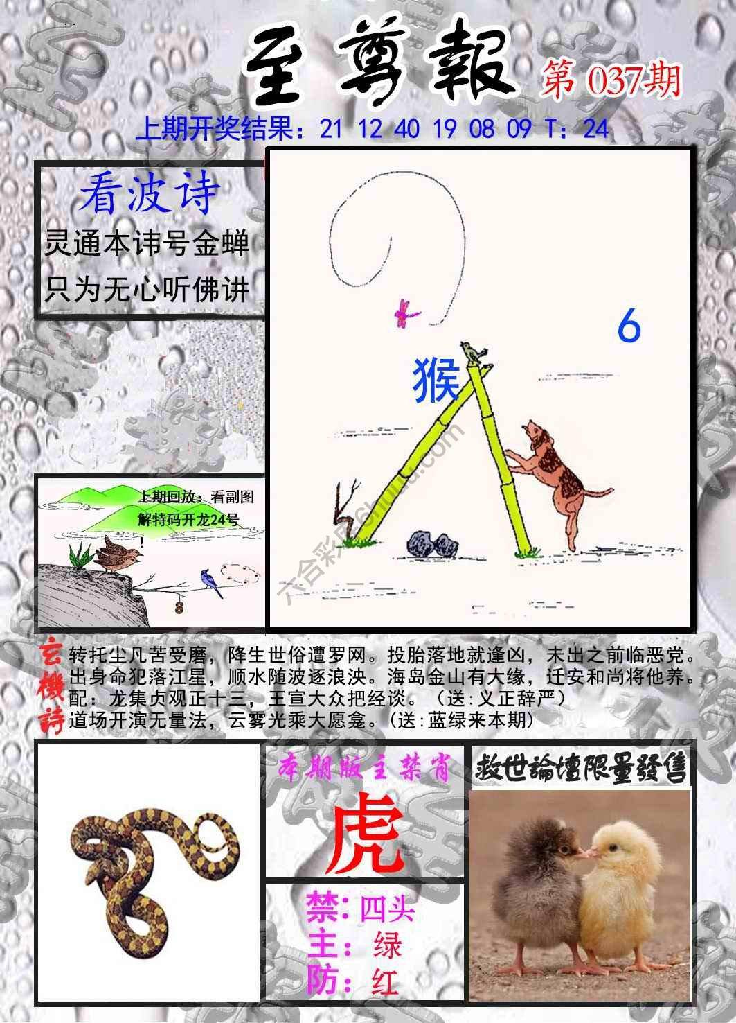 至尊报