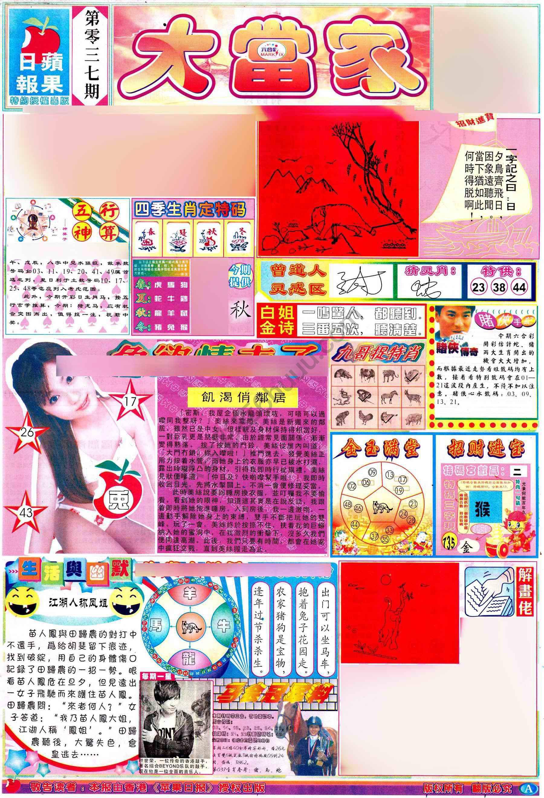 大当家