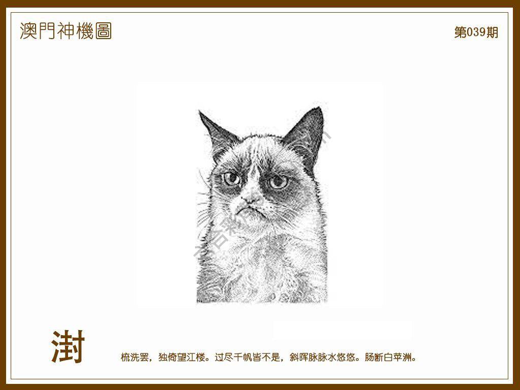 澳门神机图