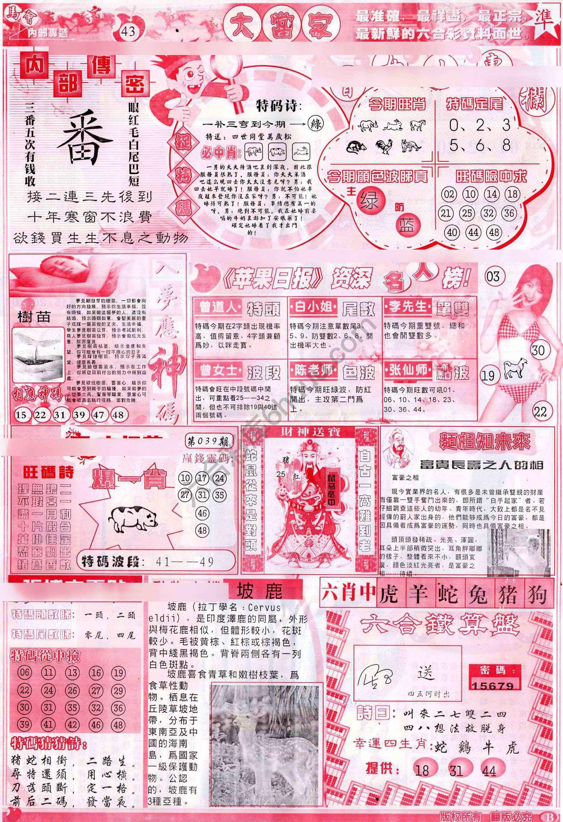 大当家
