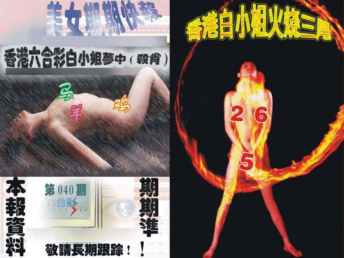 环球美女特码报