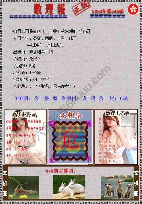 数理报