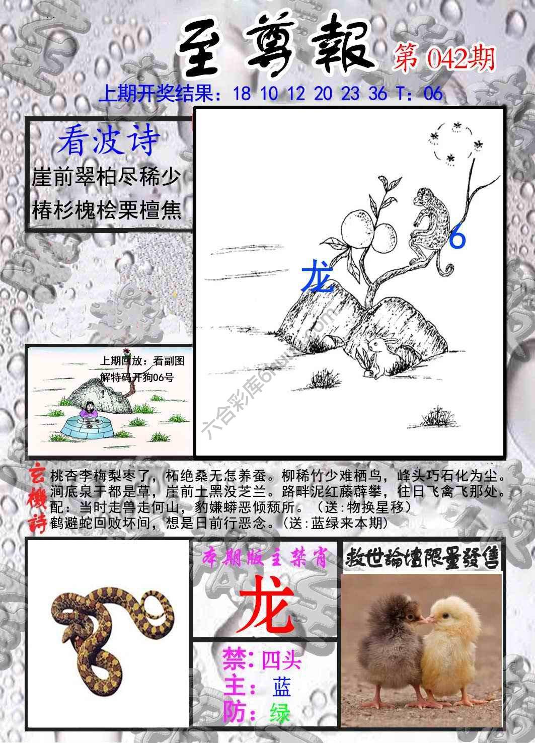 至尊报