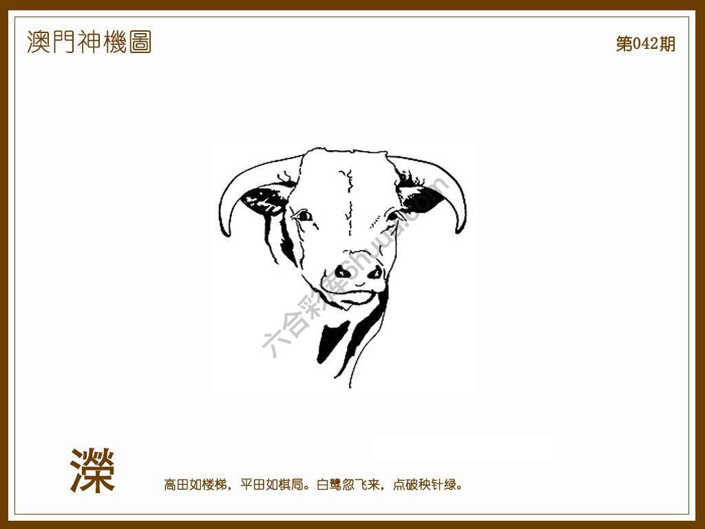 澳门神机图