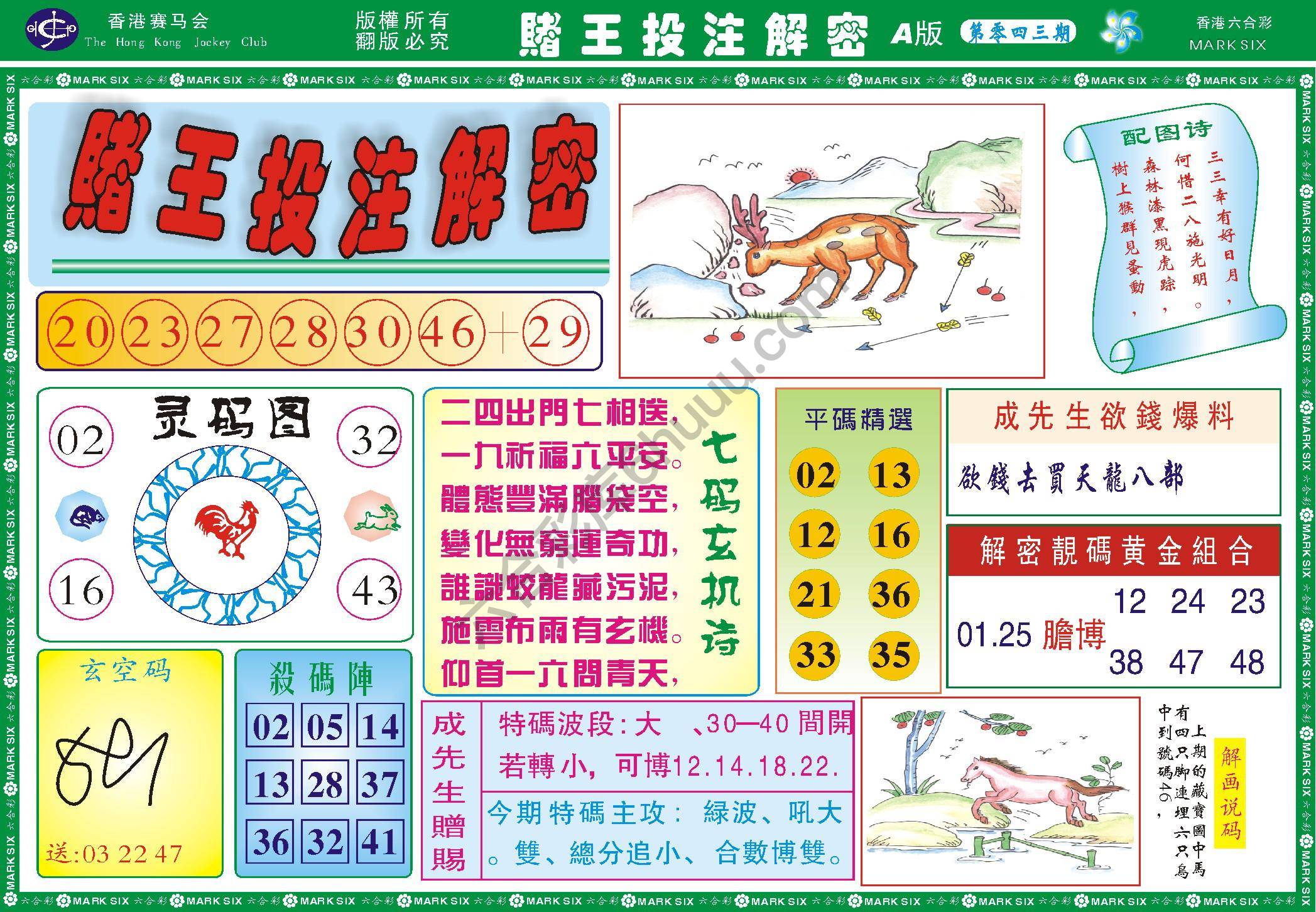 赌王投注解密