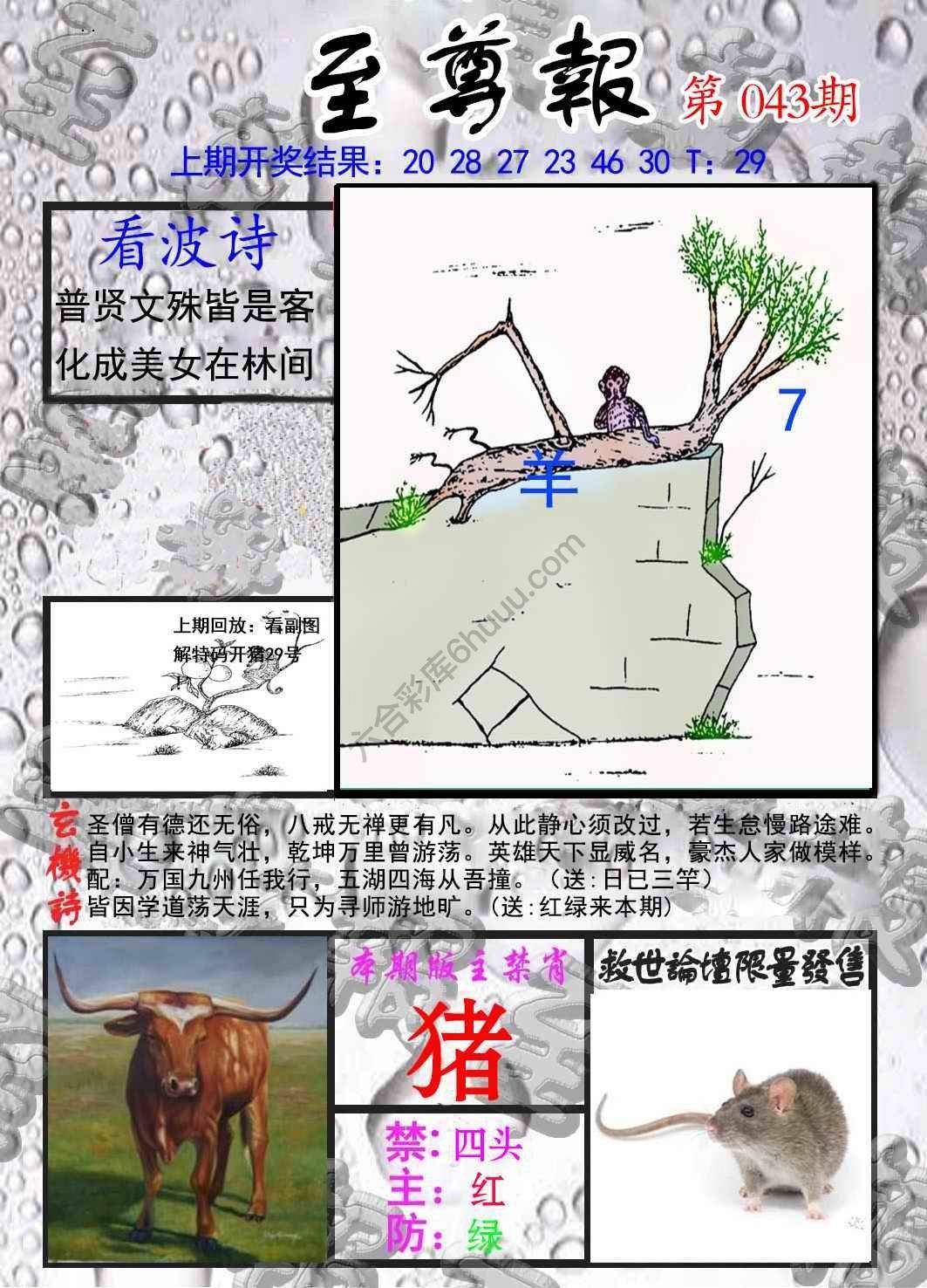 至尊报