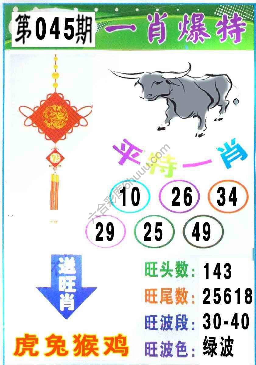 一肖爆特（新版）