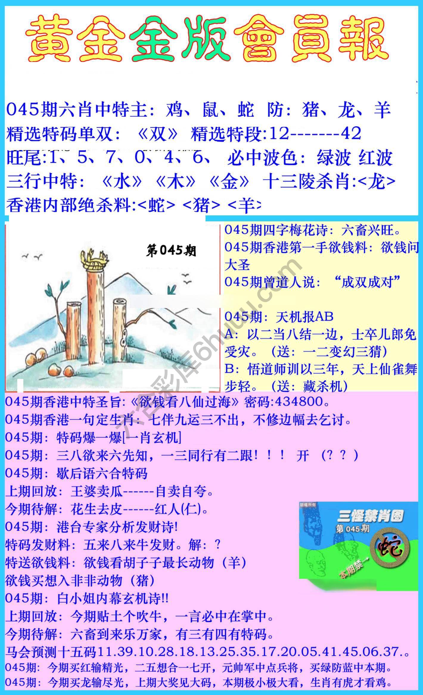黄金金版会员报