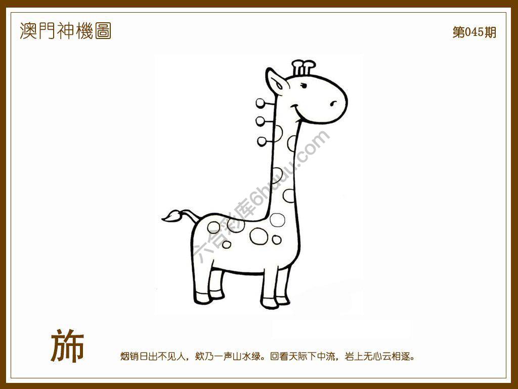 澳门神机图