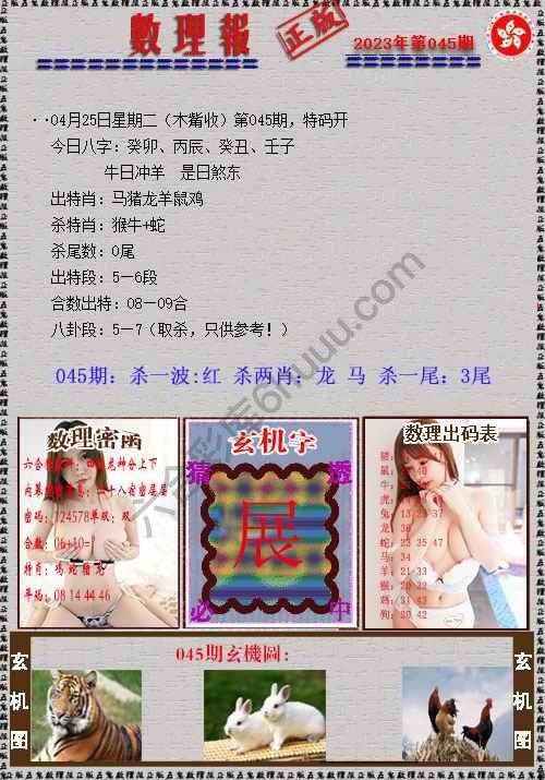 数理报