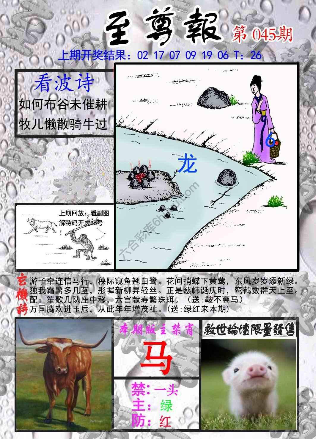 至尊报