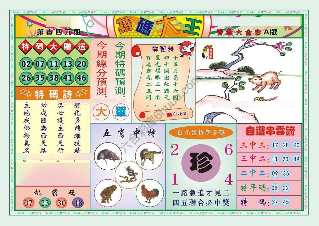 特码大王