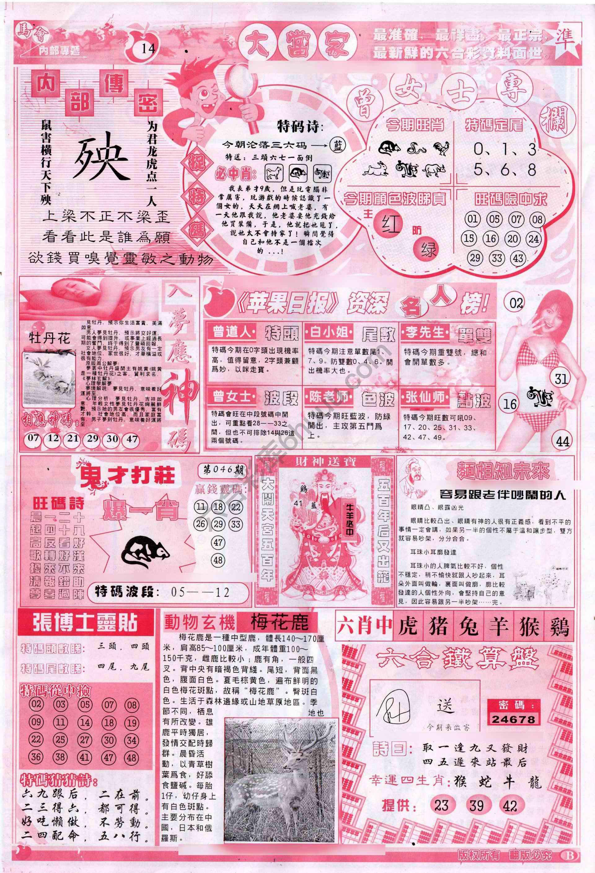 大当家
