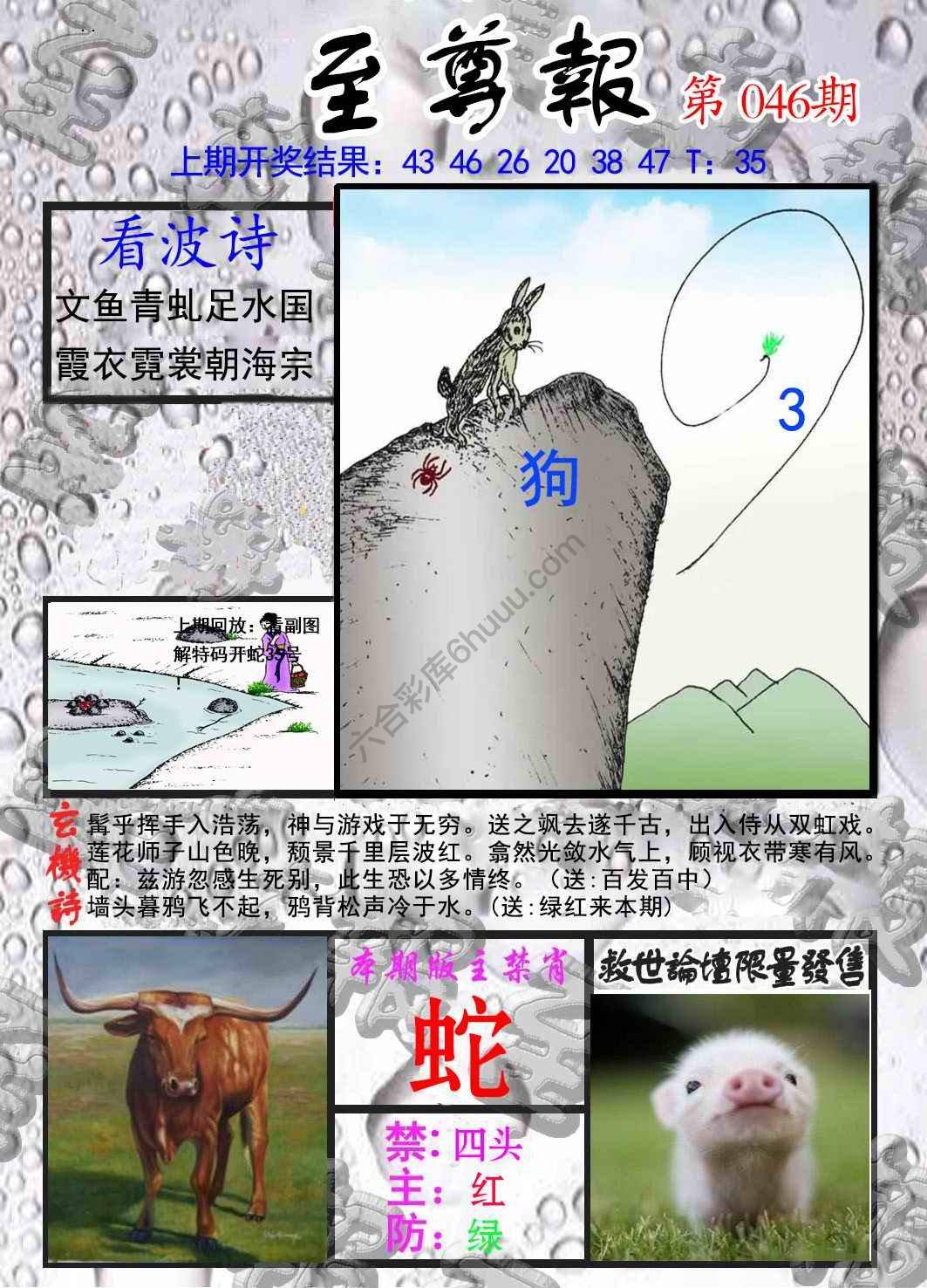 至尊报