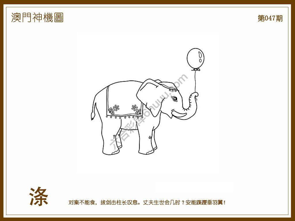 澳门神机图