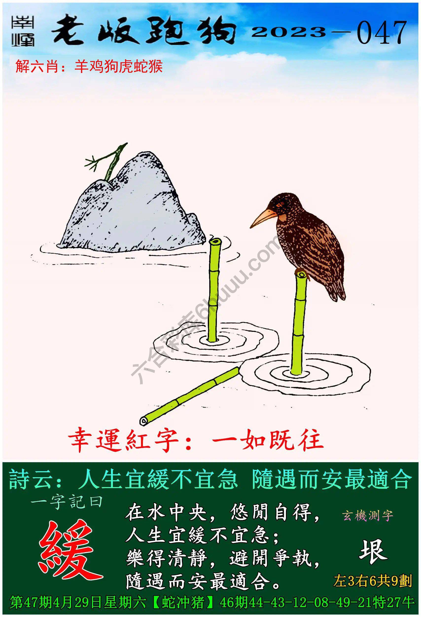 老版跑狗图