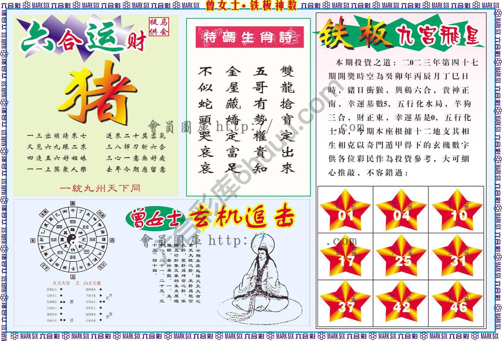 曾女士铁板神数
