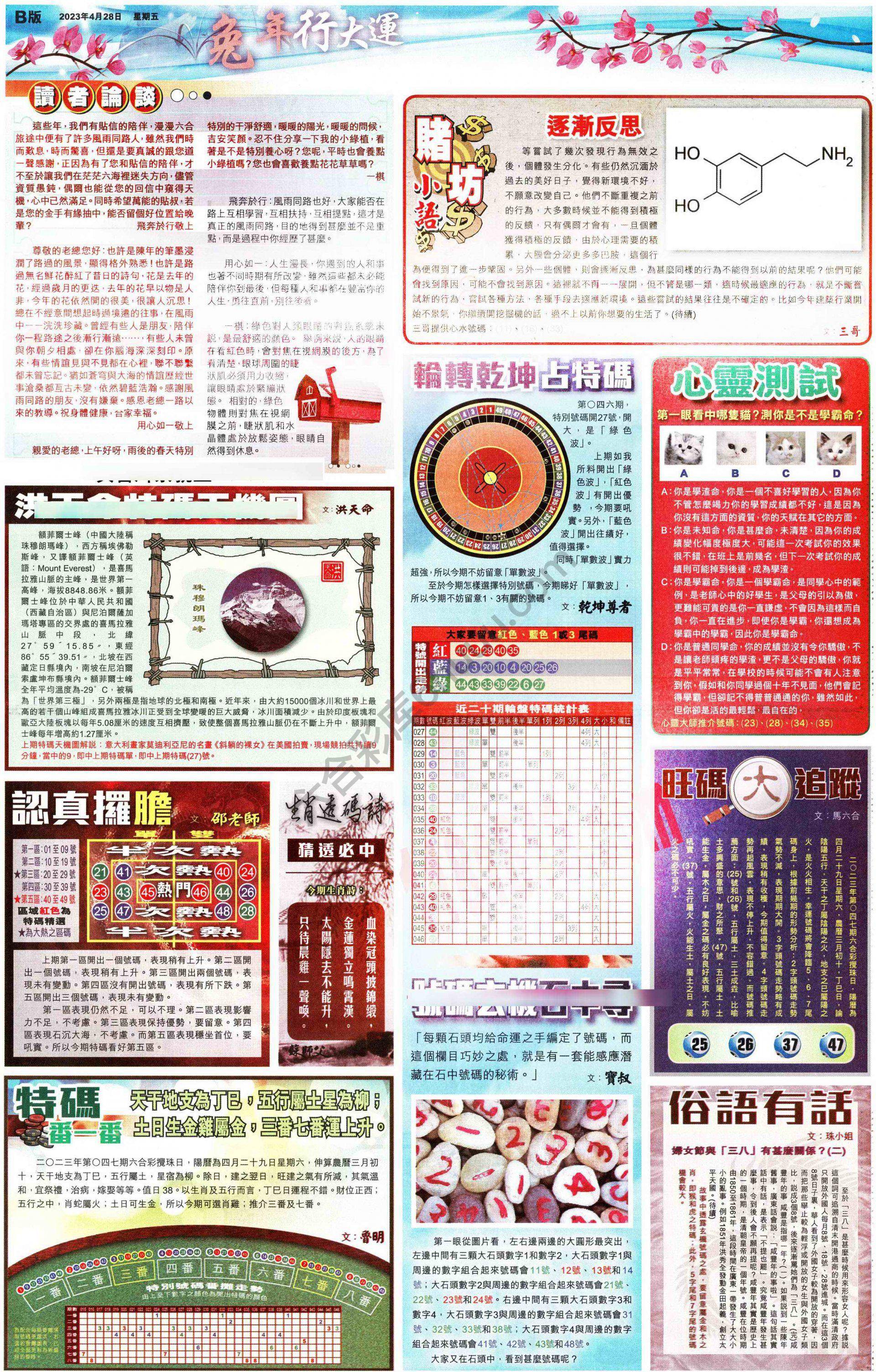 大版贴士皇