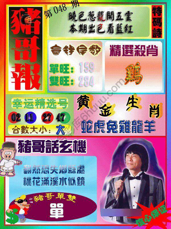 猪哥报