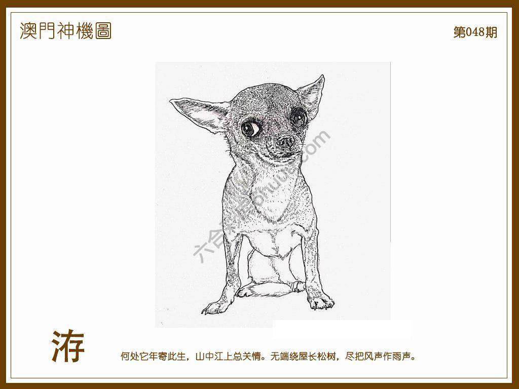 澳门神机图