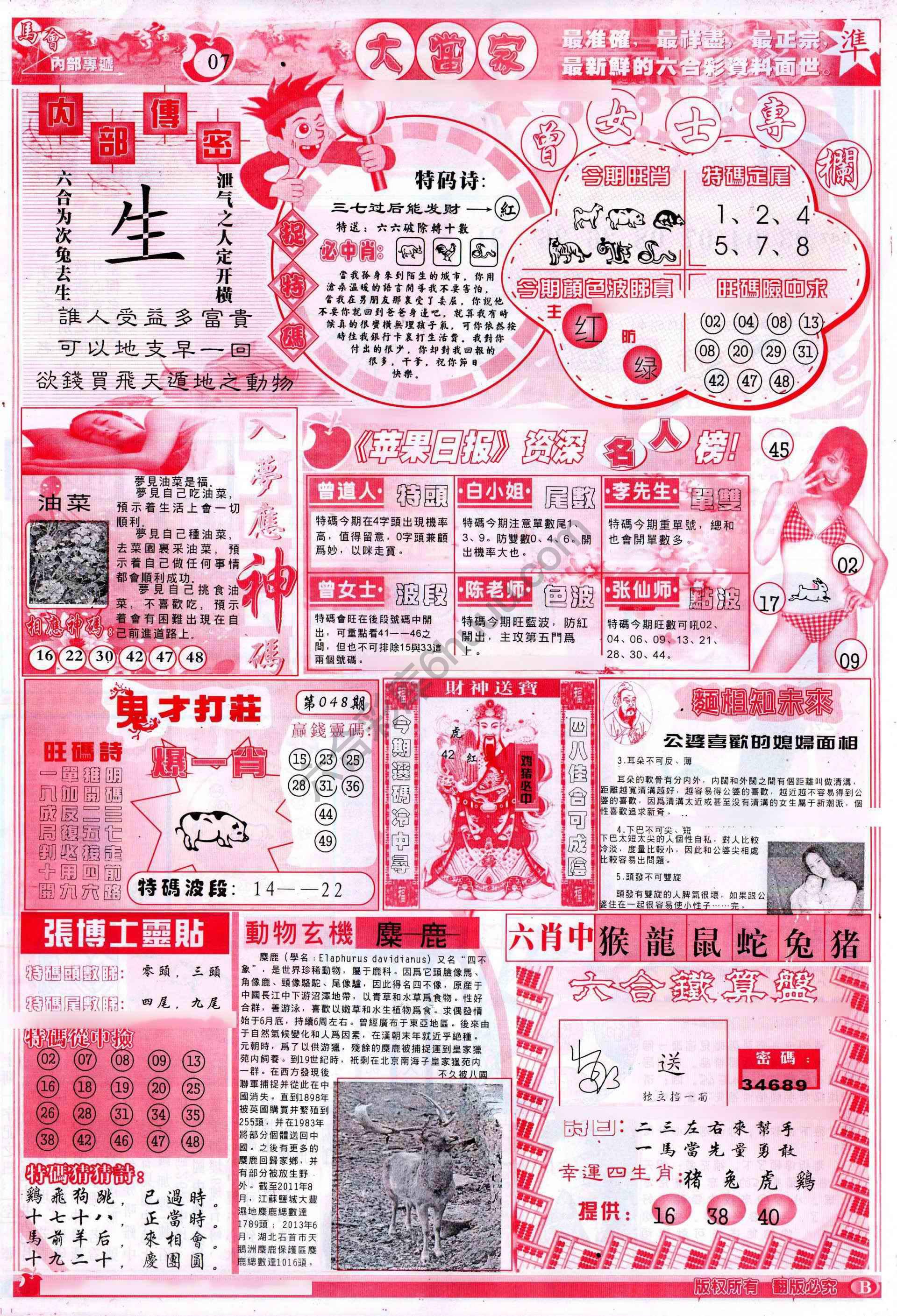 大当家