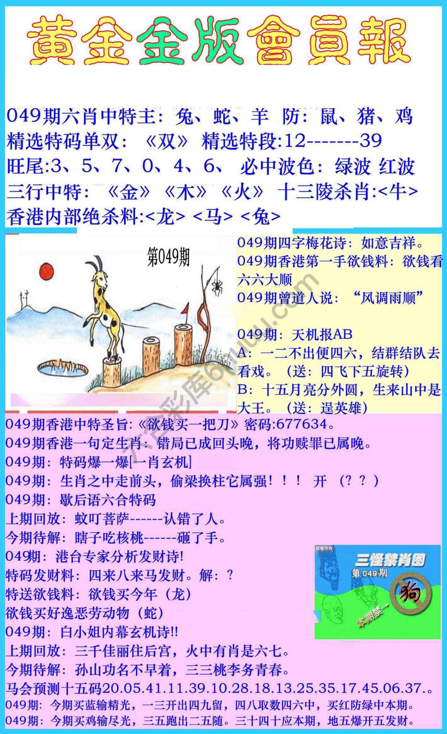黄金金版会员报