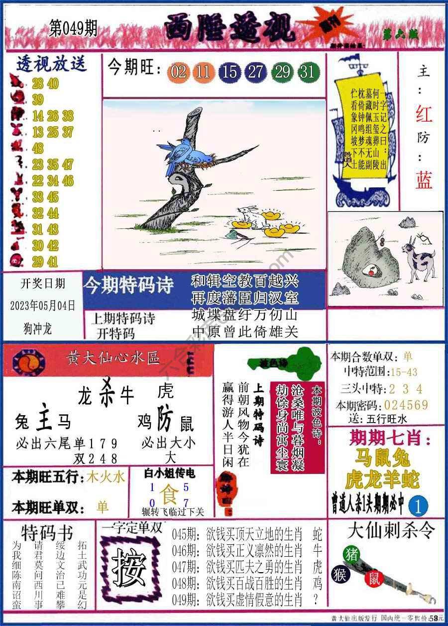 西陲透视（正版）