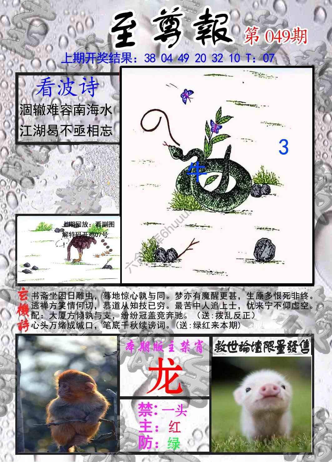 至尊报