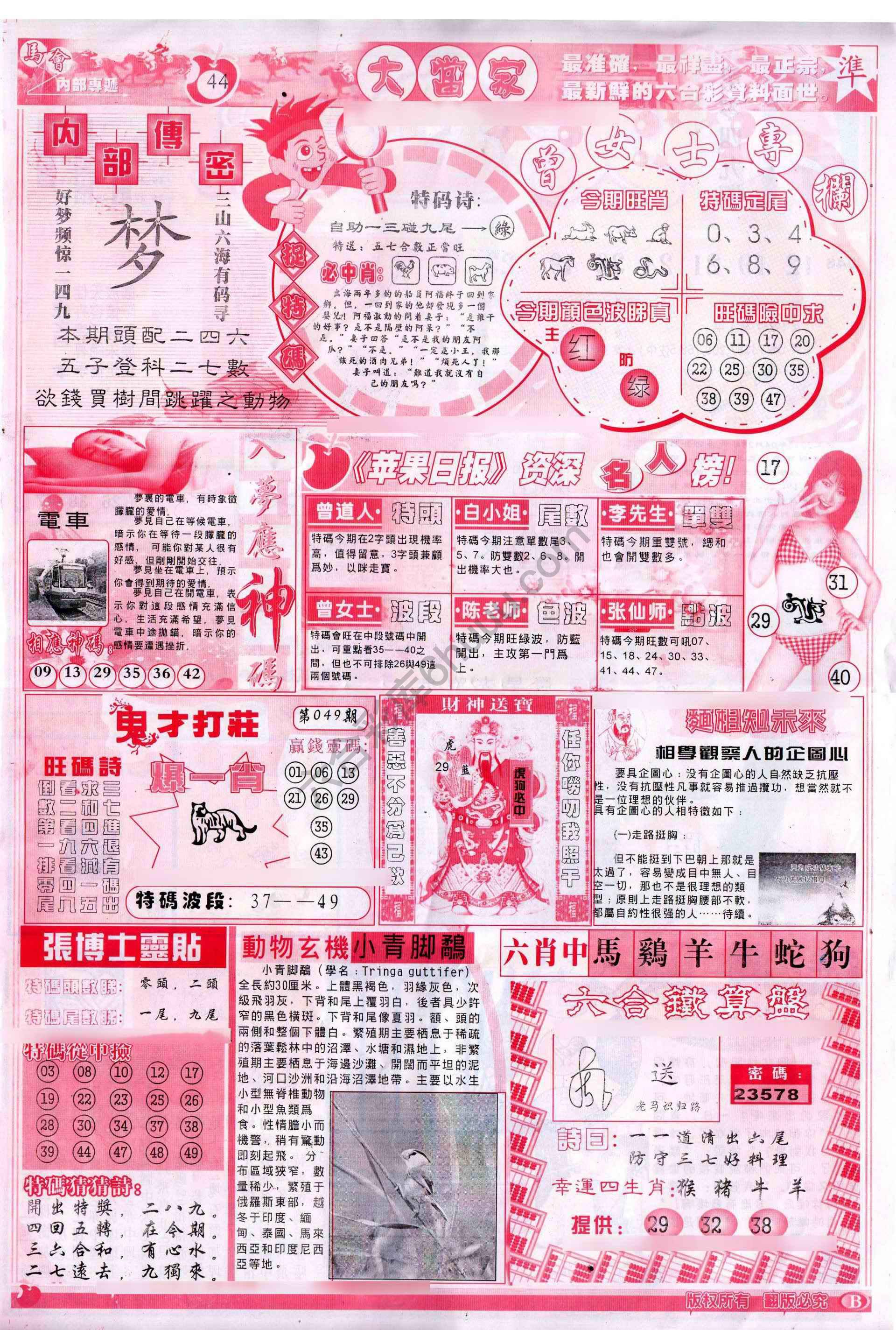 大当家