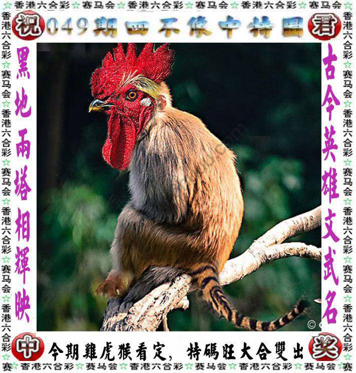四不像中特图