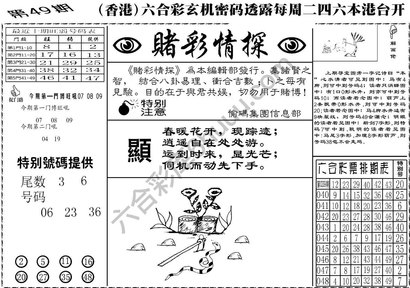 赌彩情探