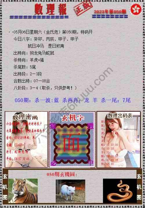 数理报