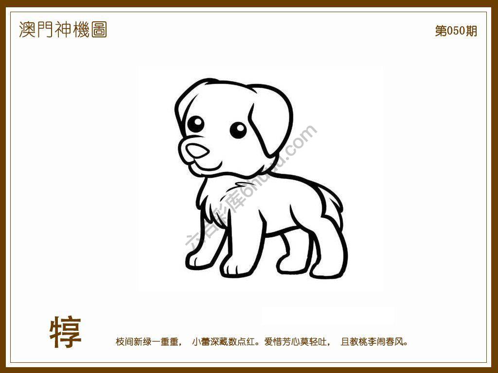 澳门神机图