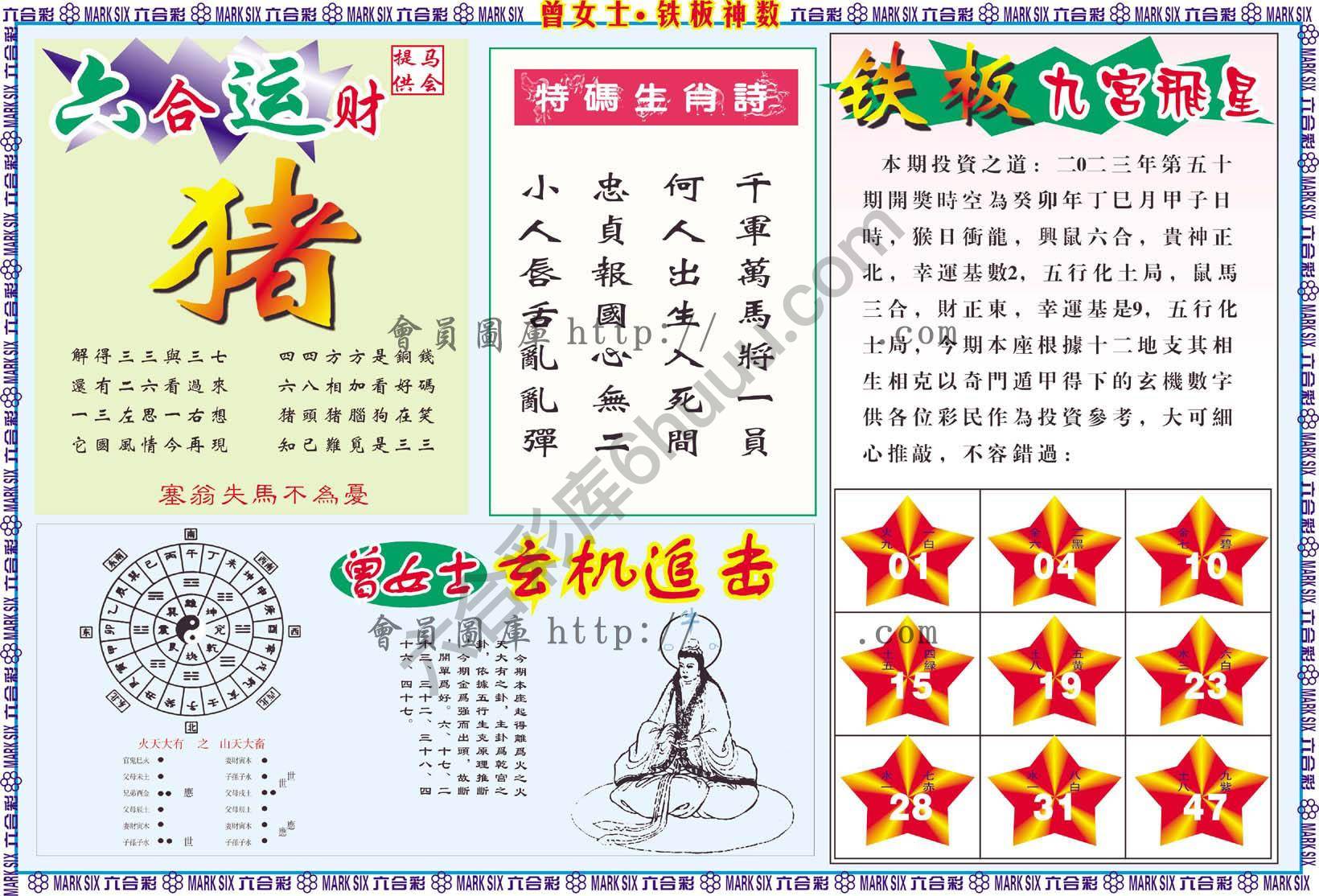 曾女士铁板神数