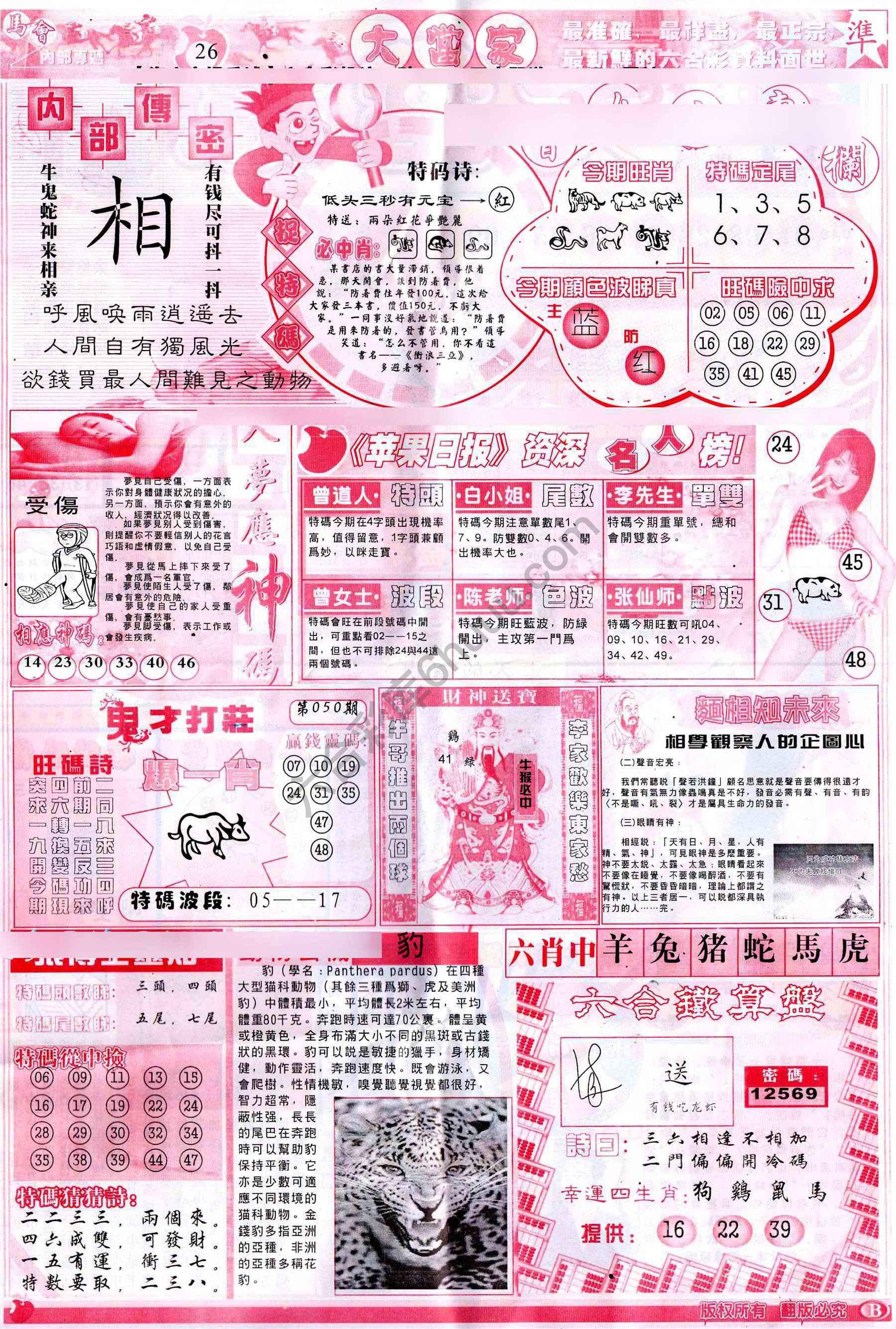 大当家