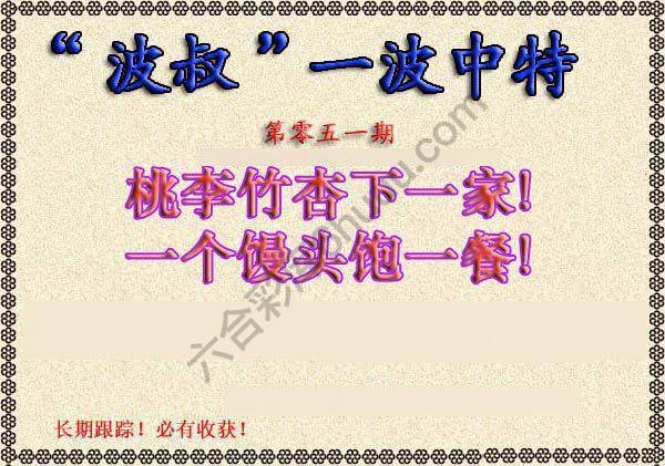 波叔一波中特