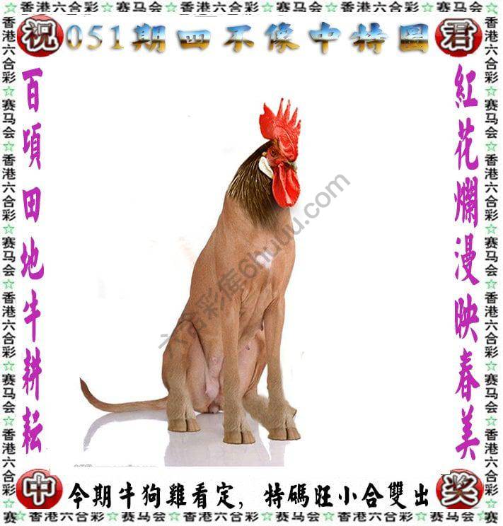 四不像中特图