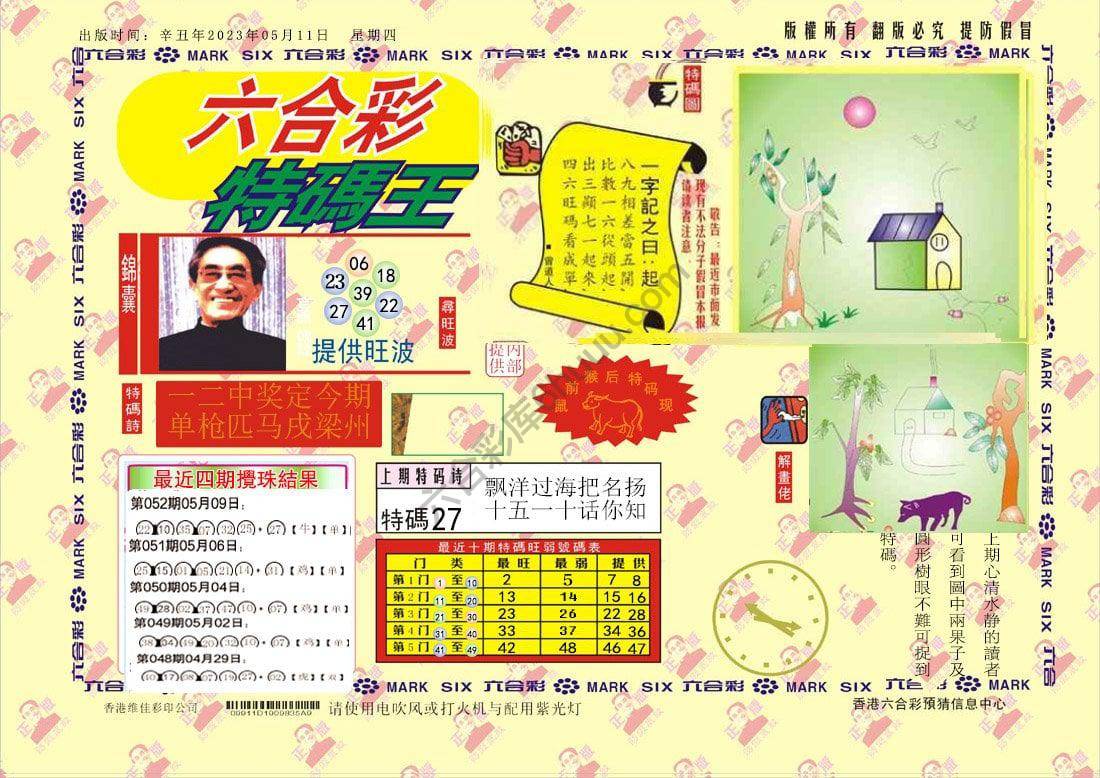 特码王