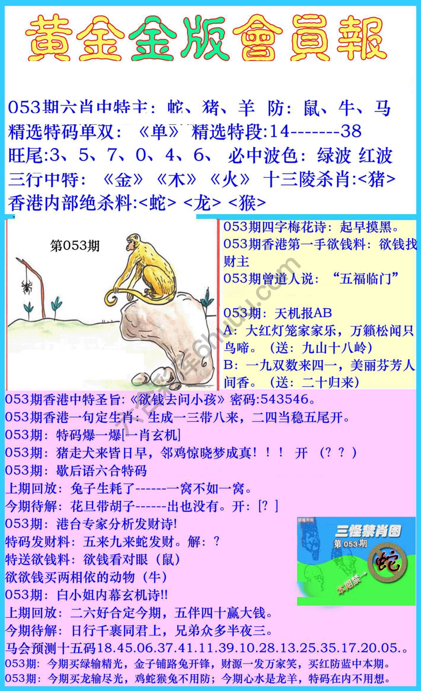 黄金金版会员报