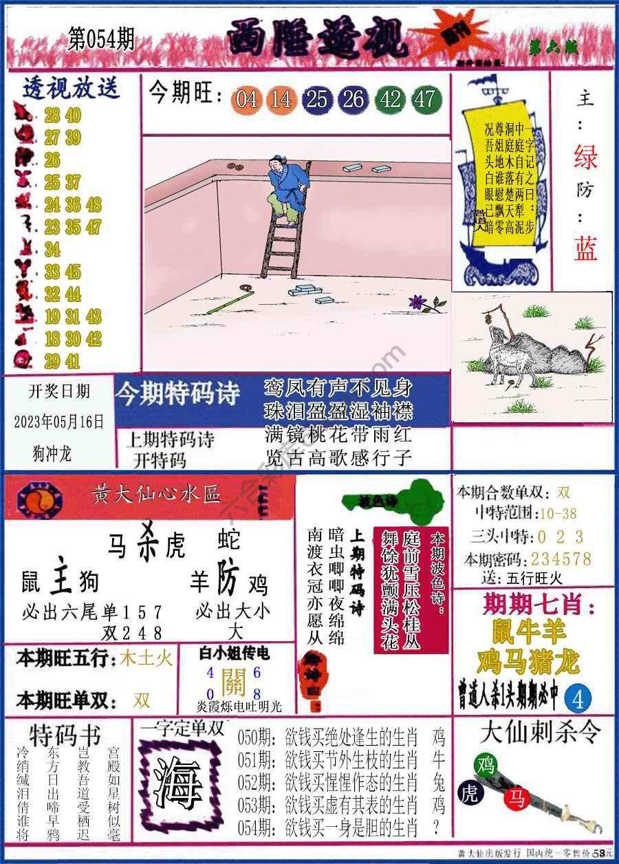 西陲透视（正版）