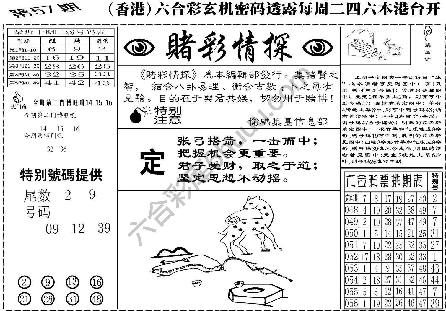 赌彩情探