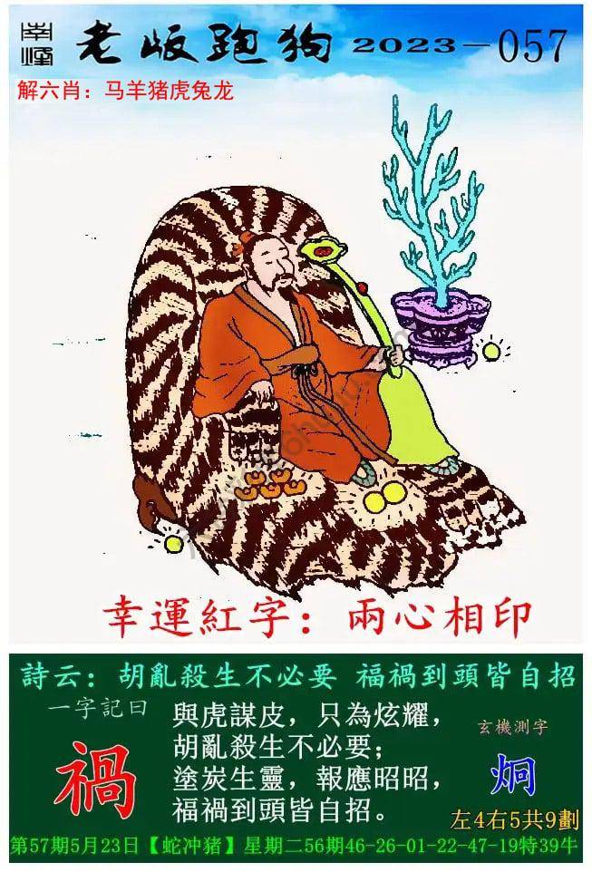 老版跑狗图