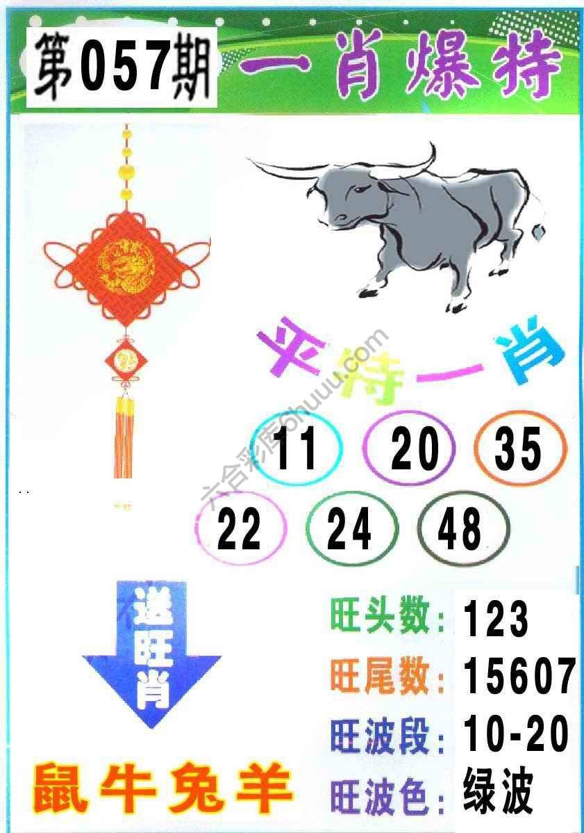 一肖爆特（新版）