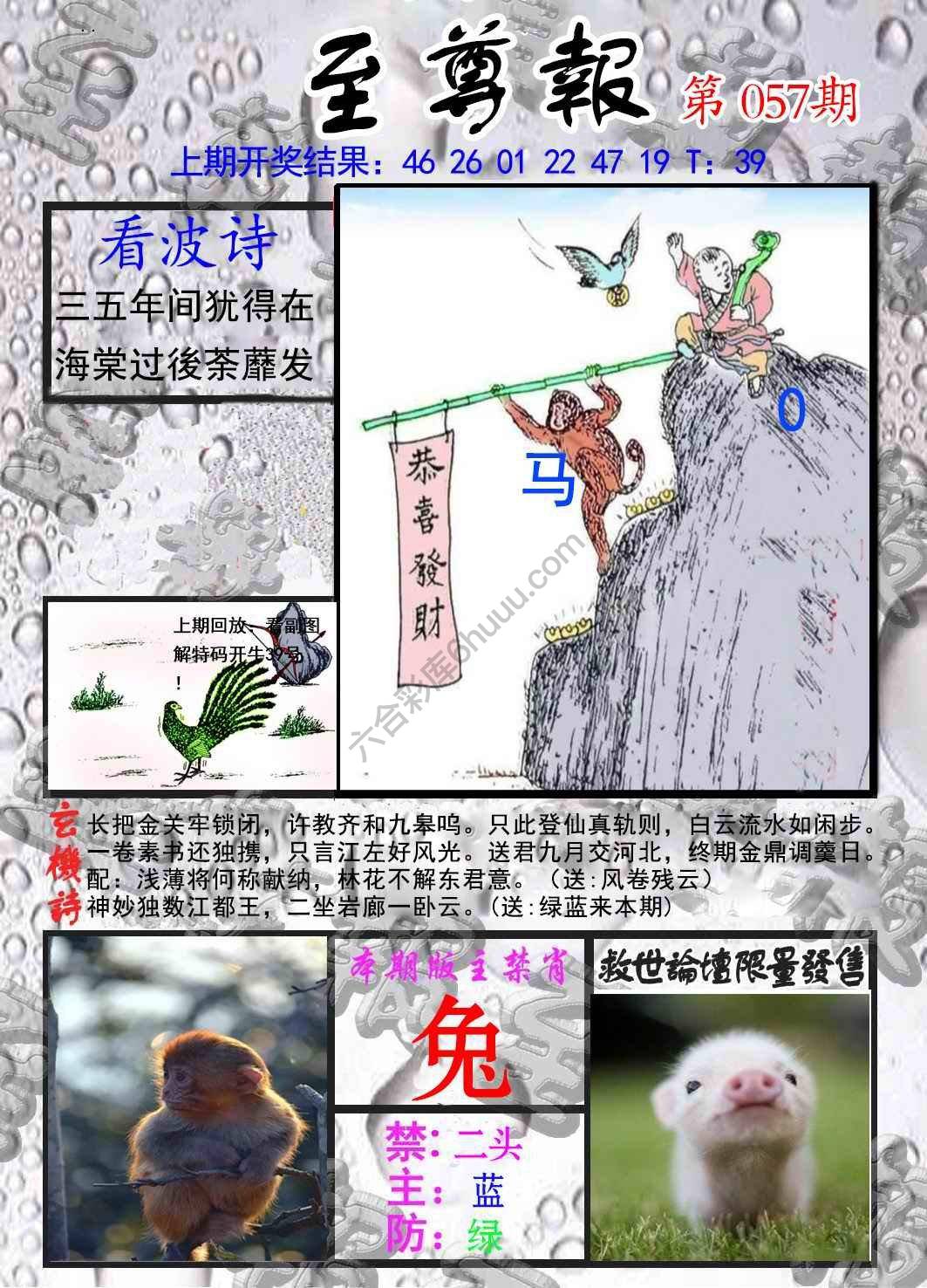 至尊报