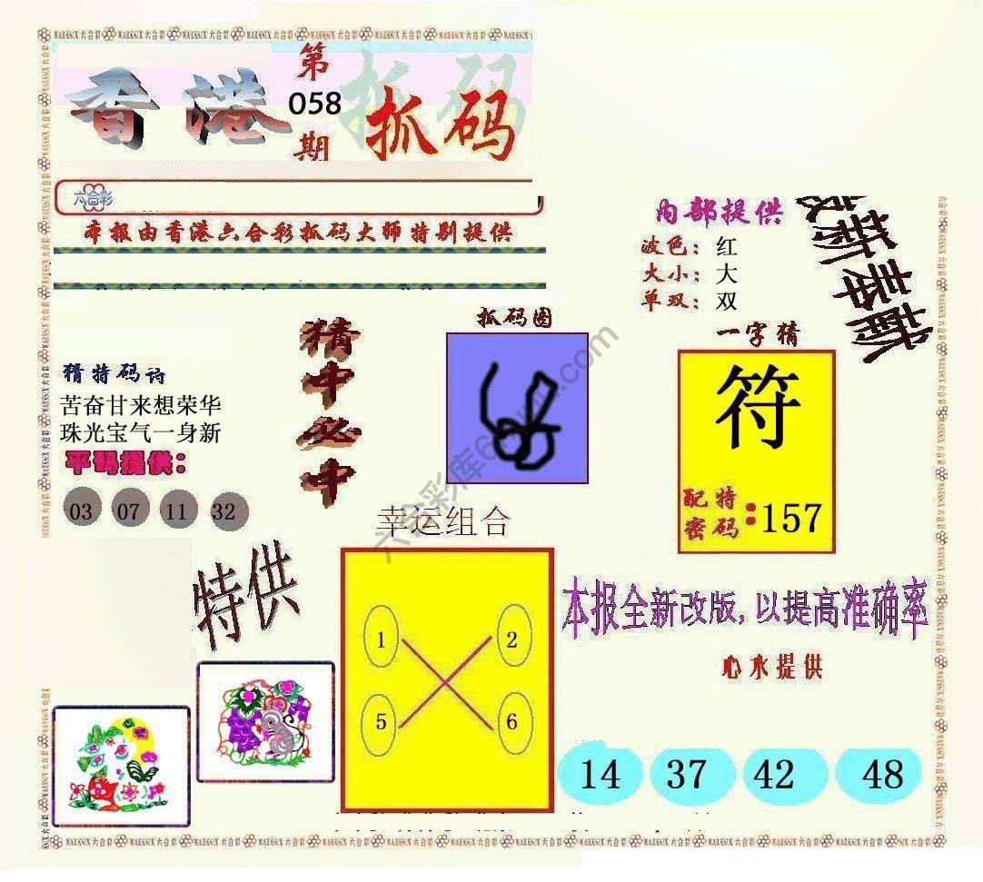 新抓码王
