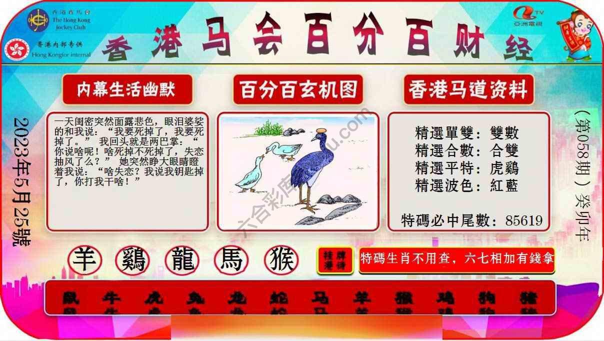 百分百财经