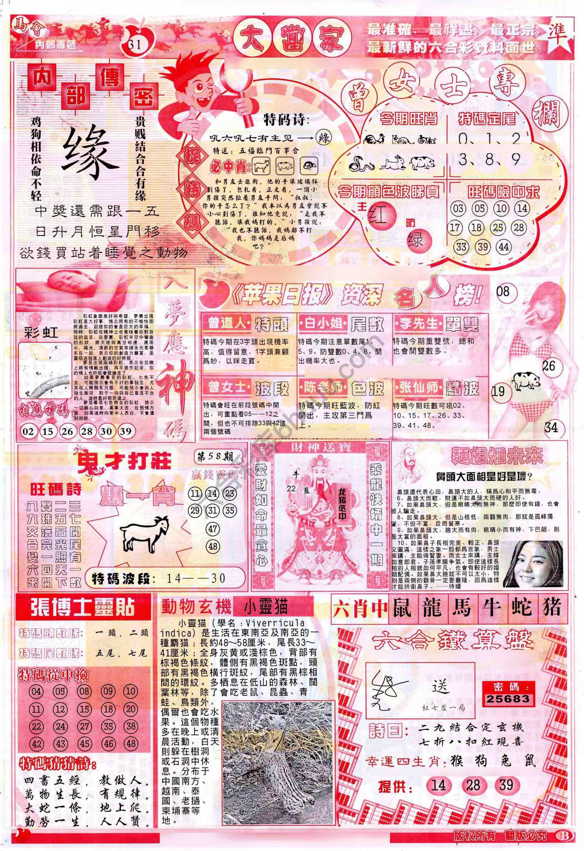 大当家