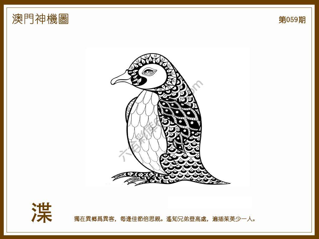 澳门神机图