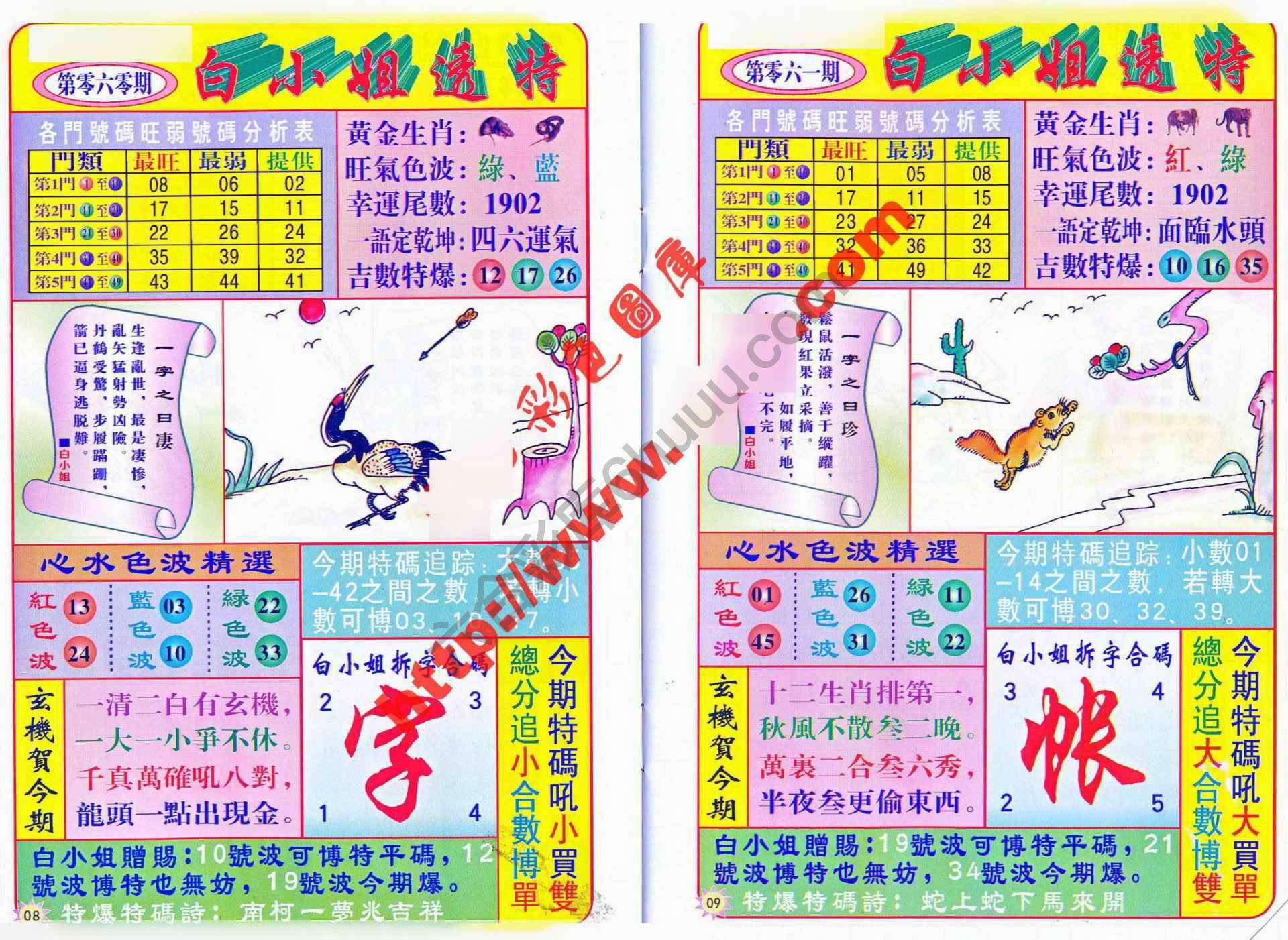 白小姐透特